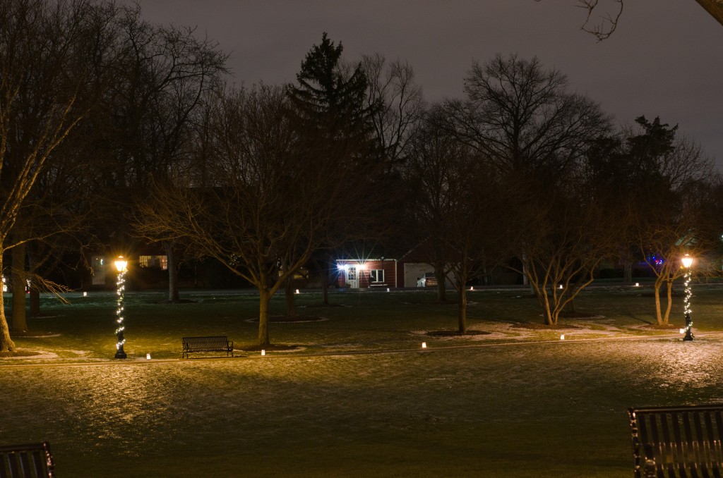 Itasca Usher Park lamp posts night photography