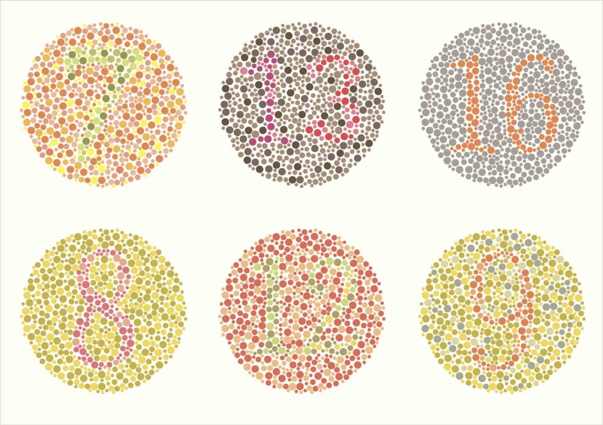 Do You See What I See?